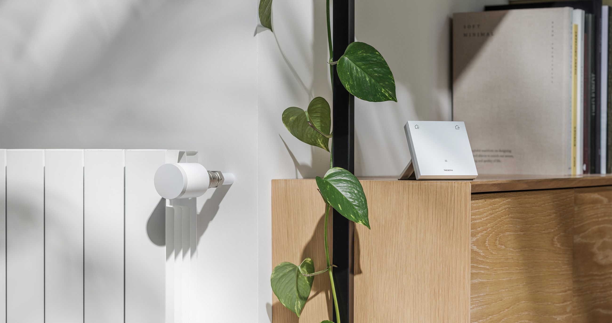 A radiator valve on a white radiator and the ORIGINAL Thermostat on a wooden cabinet, next to a plant